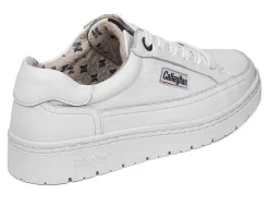 Cheap callaghan Modelo 55804