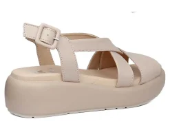 Hot callaghan Modelo 33602