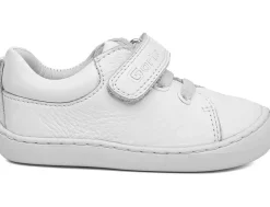 New callaghan Modelo 75900