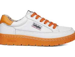 Clearance callaghan Modelo 55804