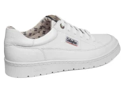Online callaghan Modelo 55210